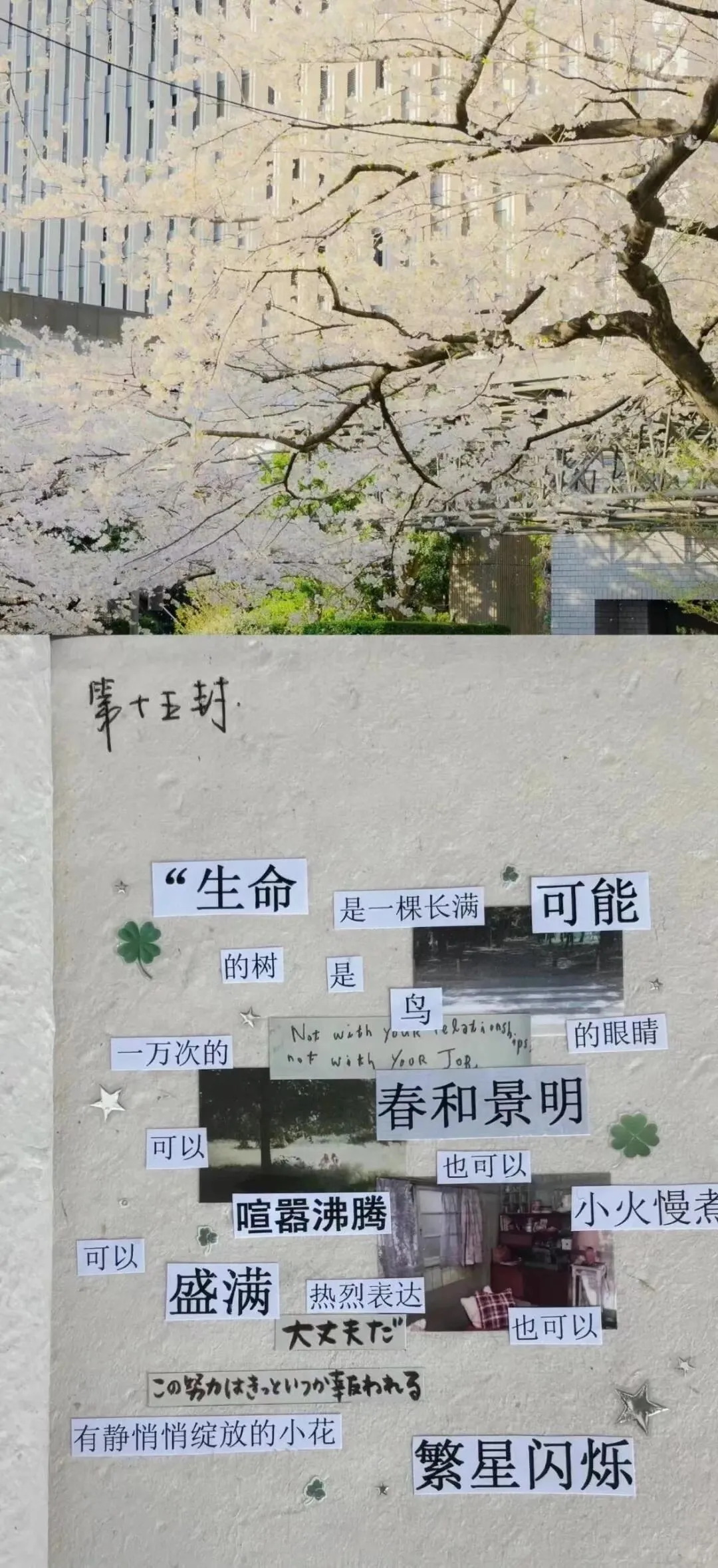 超火壁纸背景图搭配