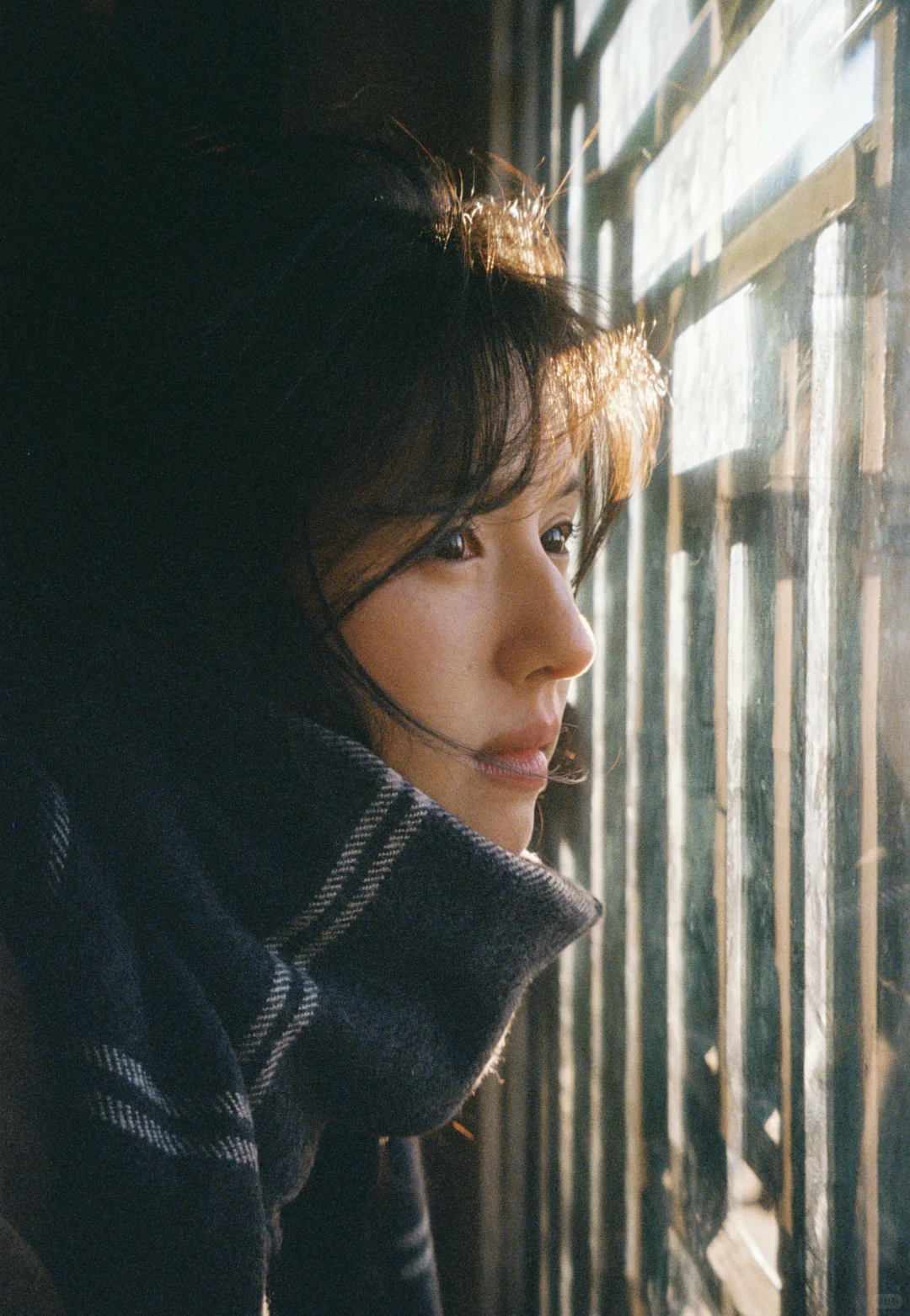 鹤男秋日氛围感写真