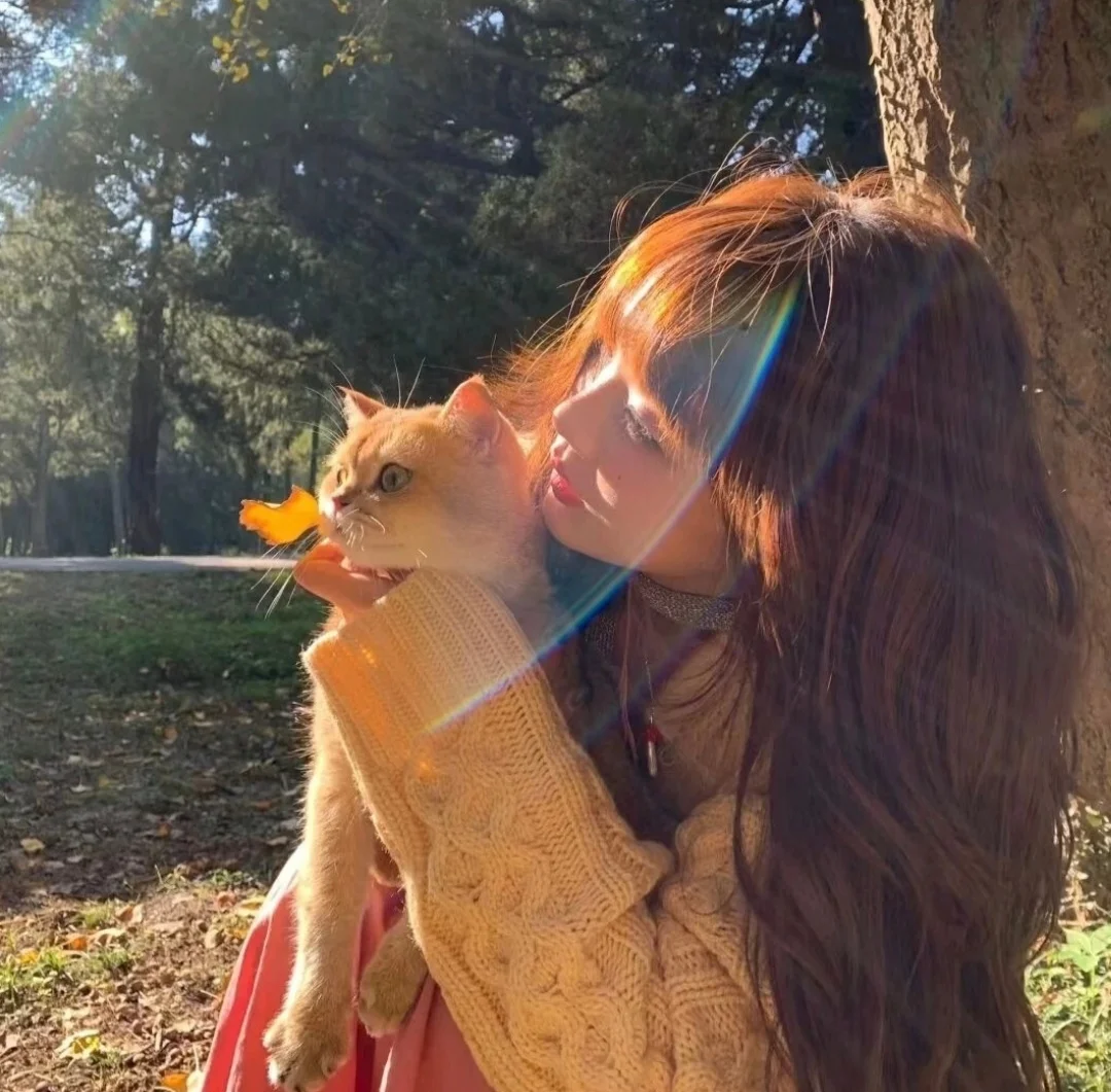 WeChat🍃 | 申请成为你的头像