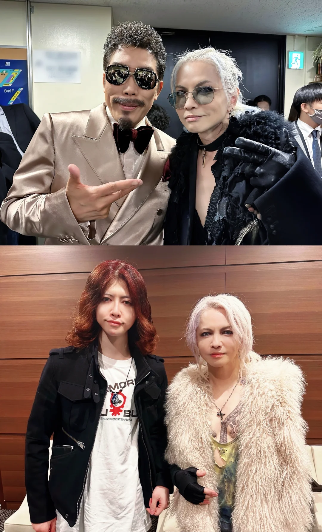 撒娇是小猫最好的嫁妆 ⁺ฅ😽ฅ⁺