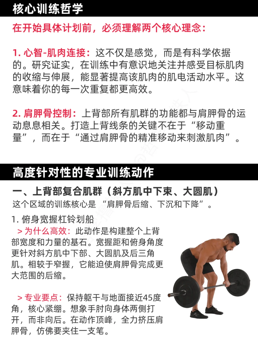 女生练背训练计划，挺拔、倒三角、有线条