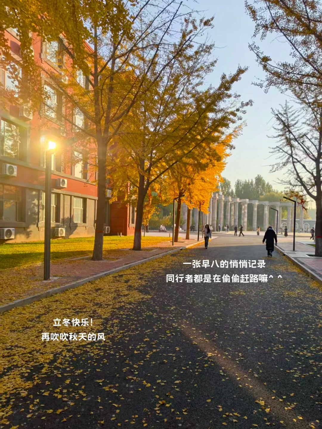 🔁当我开始真正享受大学生活🥰