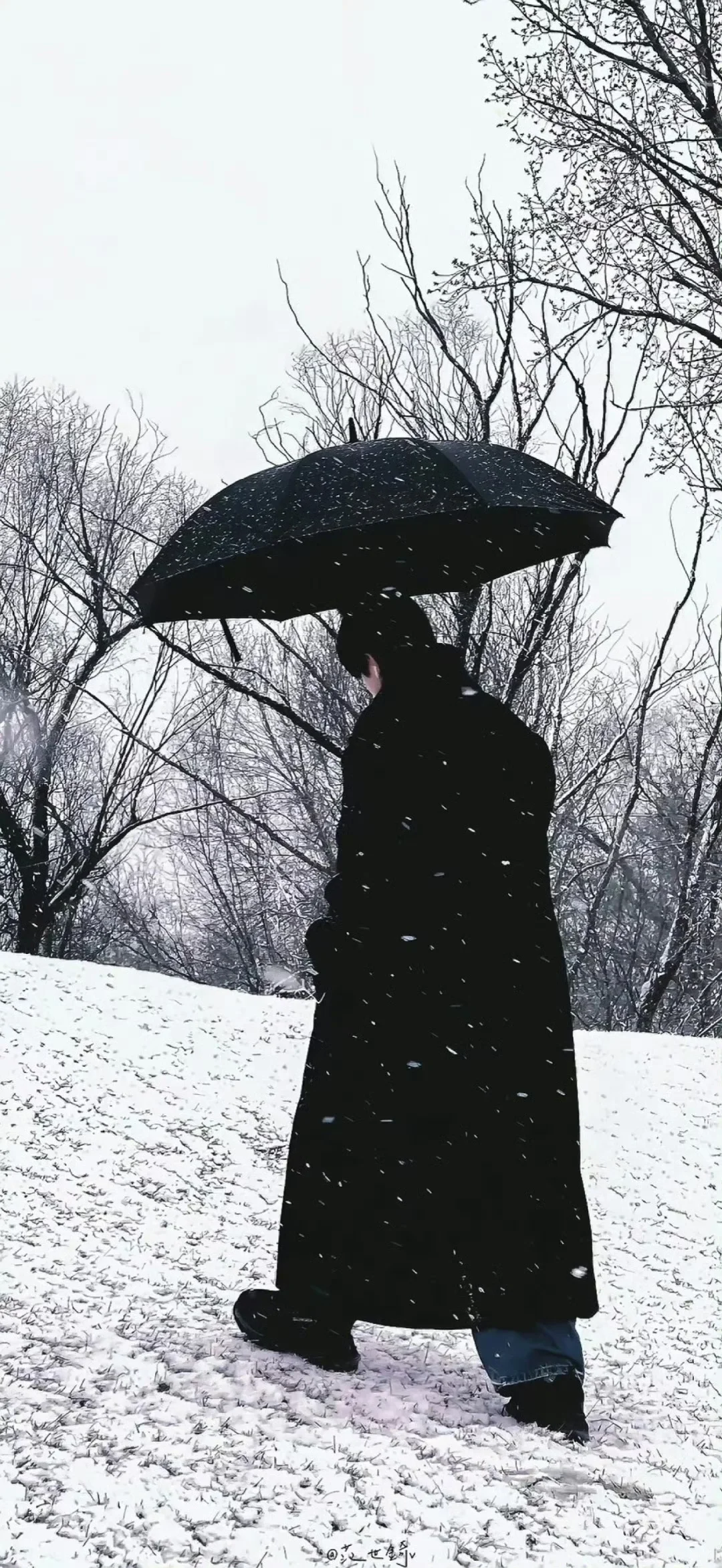 高清雪天氛围感壁纸