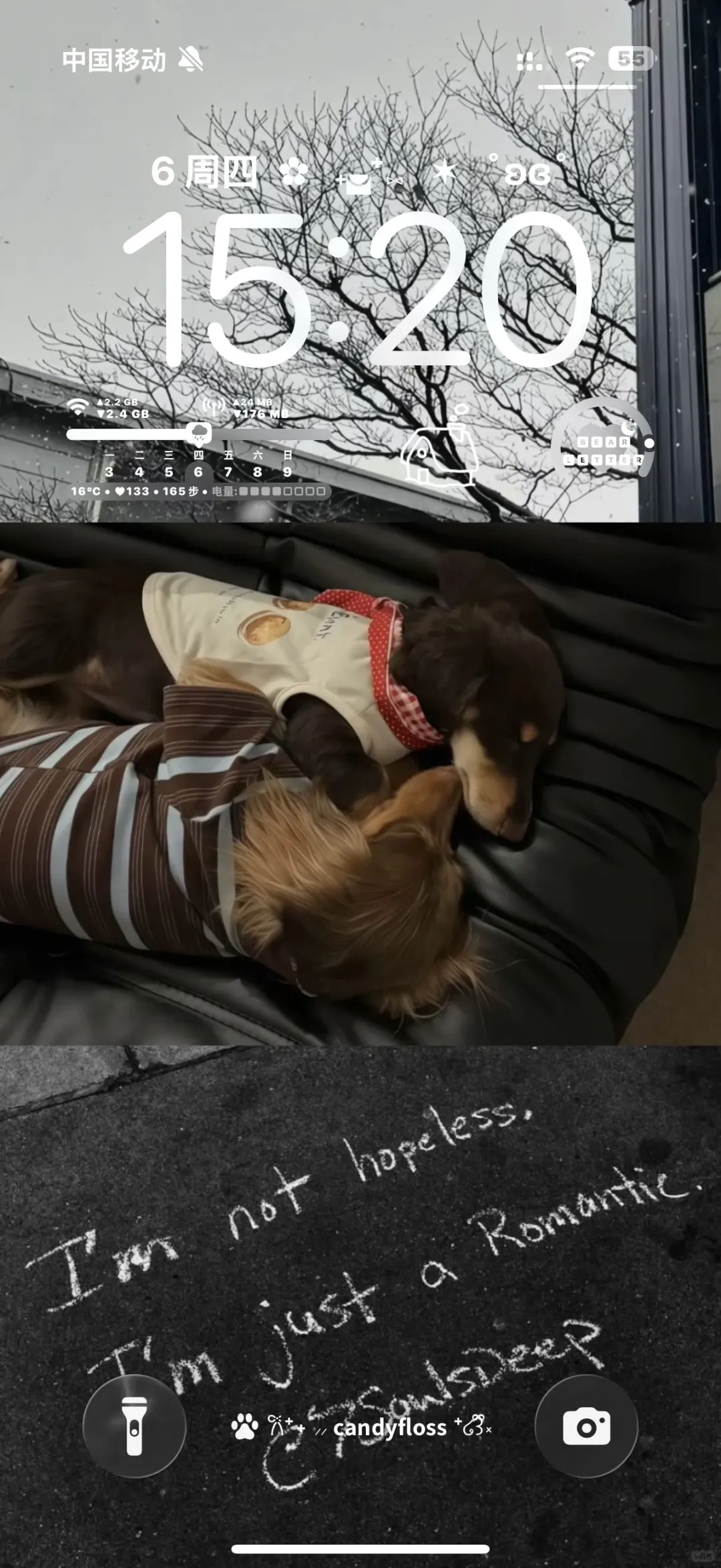 Share｜秋冬氛围壁纸⊹🐾₊⁺★