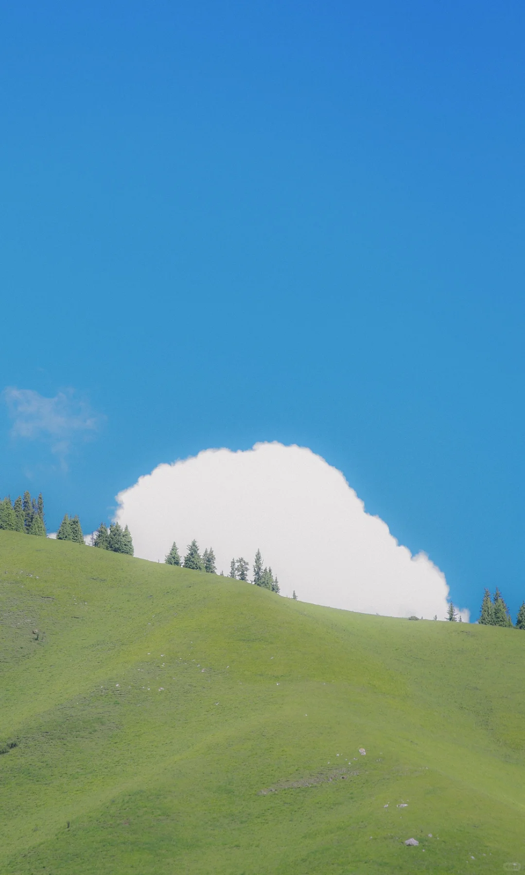 全屏封神挑战｜自然的留白