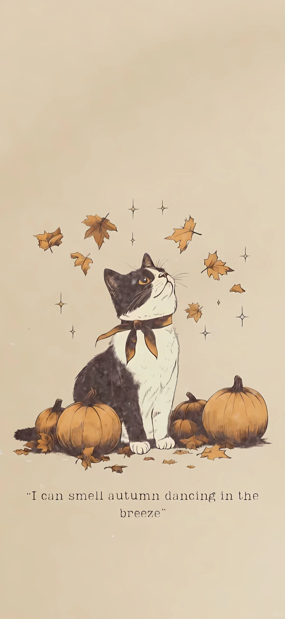 美拉德秋冬感壁纸🍁