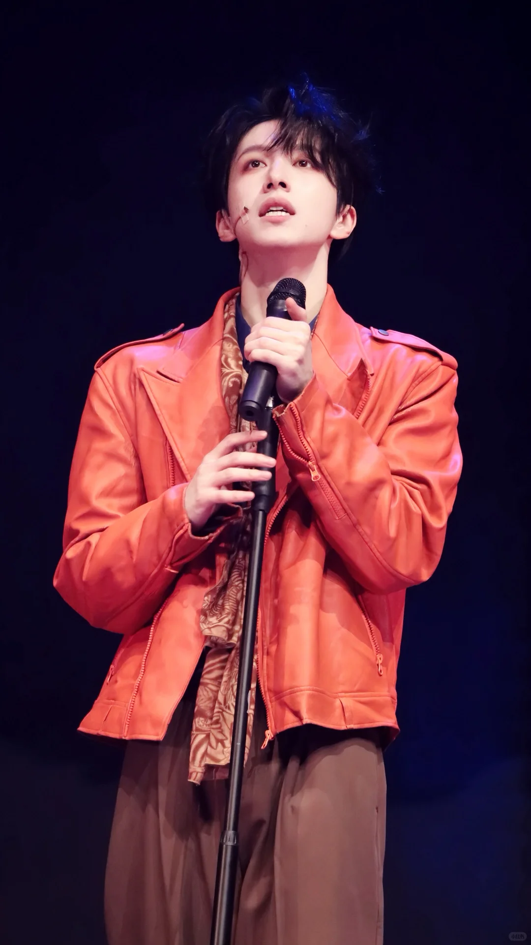 你问我这么伟大的脸需要修什么