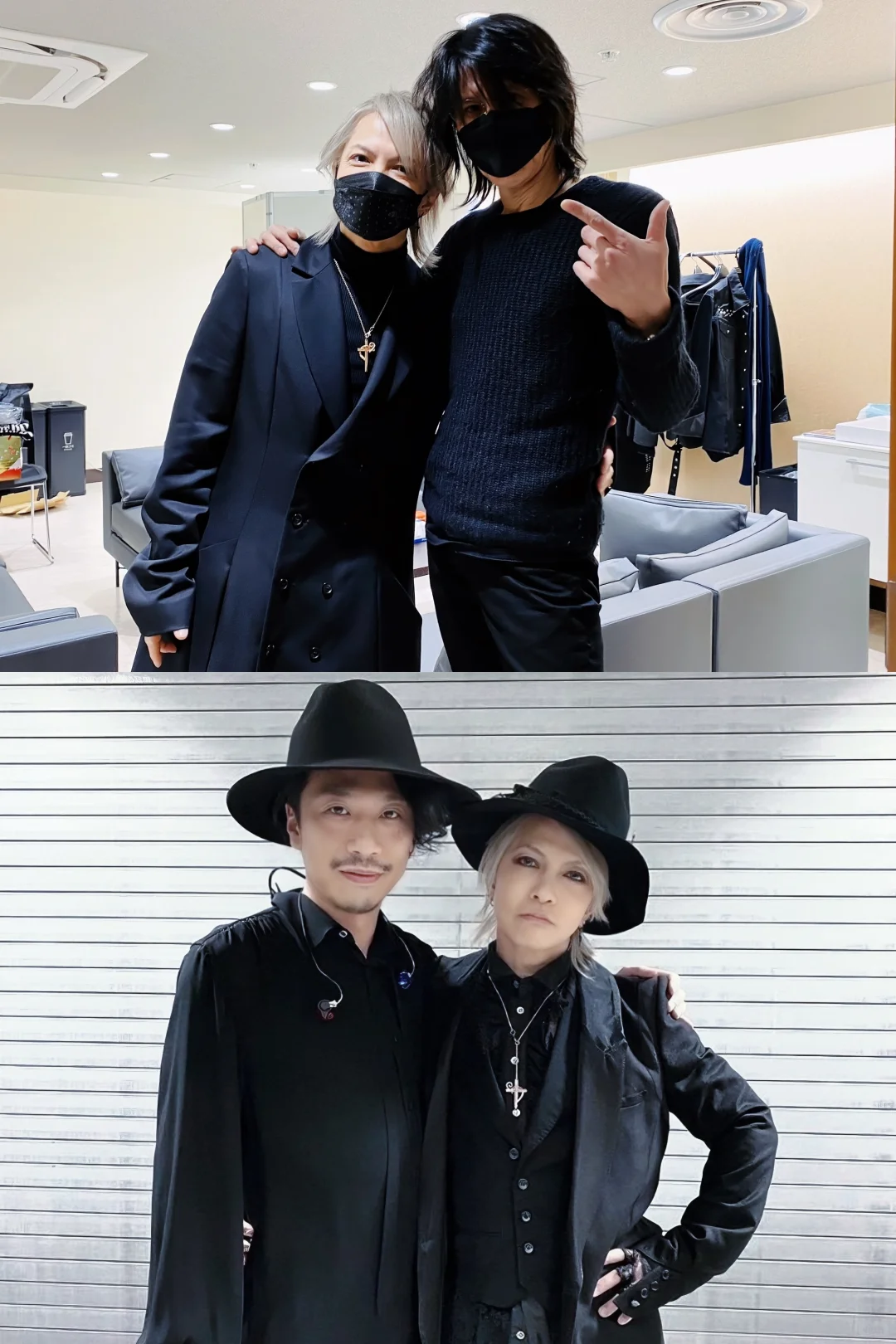 撒娇是小猫最好的嫁妆 ⁺ฅ😽ฅ⁺