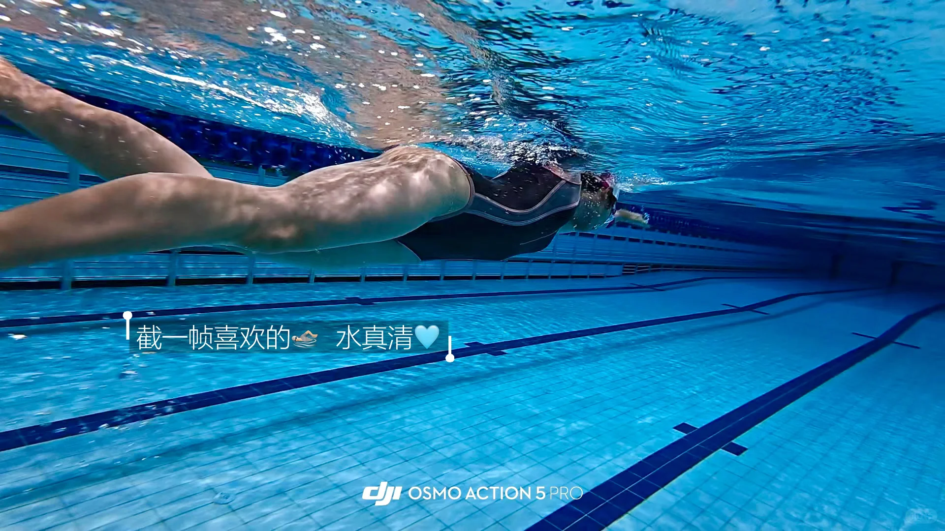 11.5 游了/ 🐬奥体的水真的好清💦