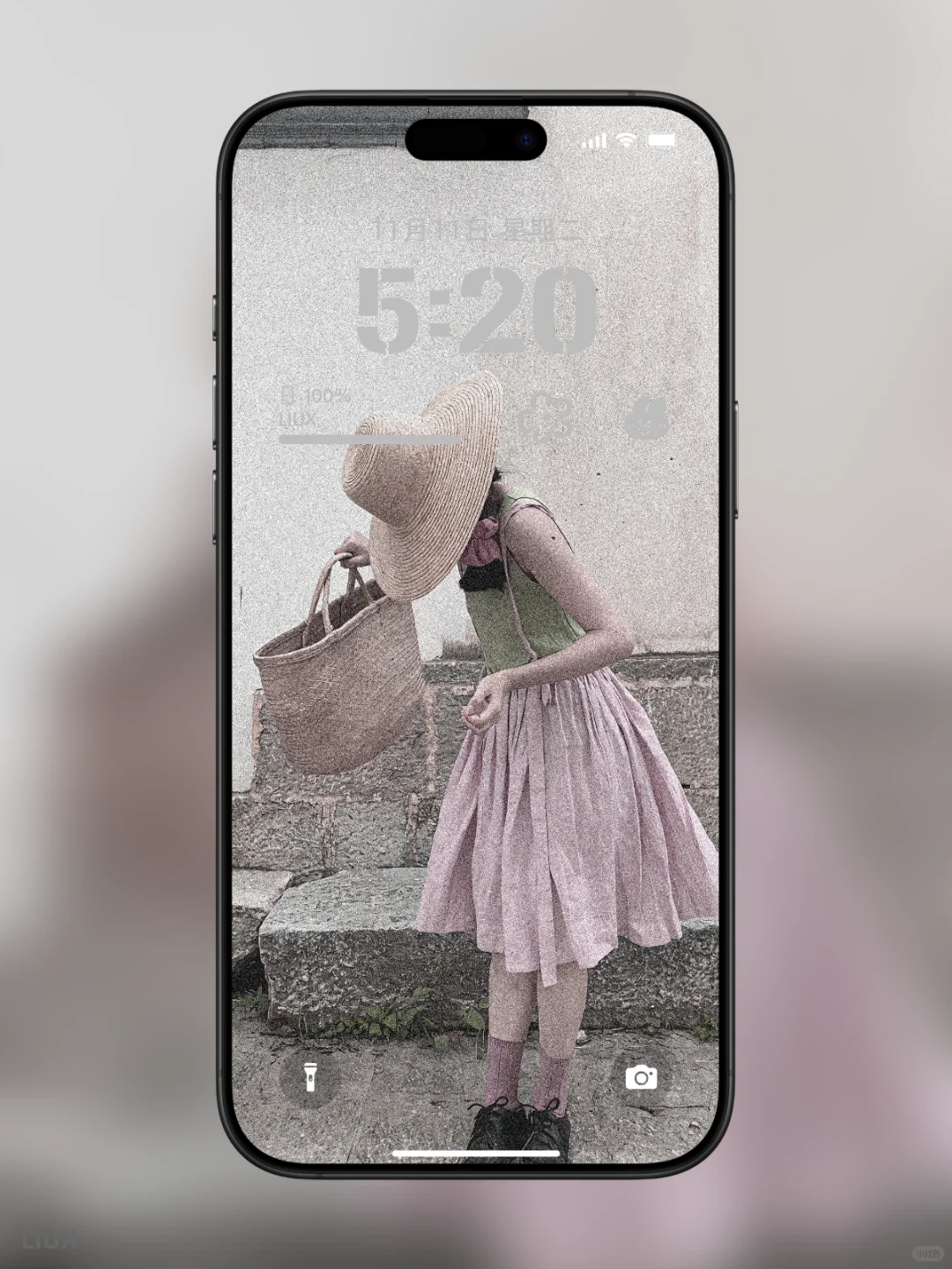 《氛围感拉满的白百合手机壁纸｜把清新与温柔