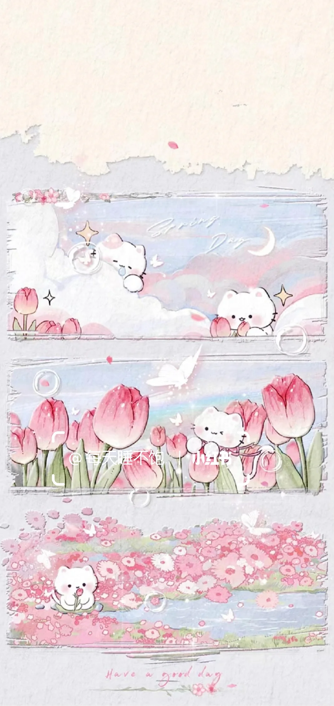 郁金香小猫｜手机壁纸