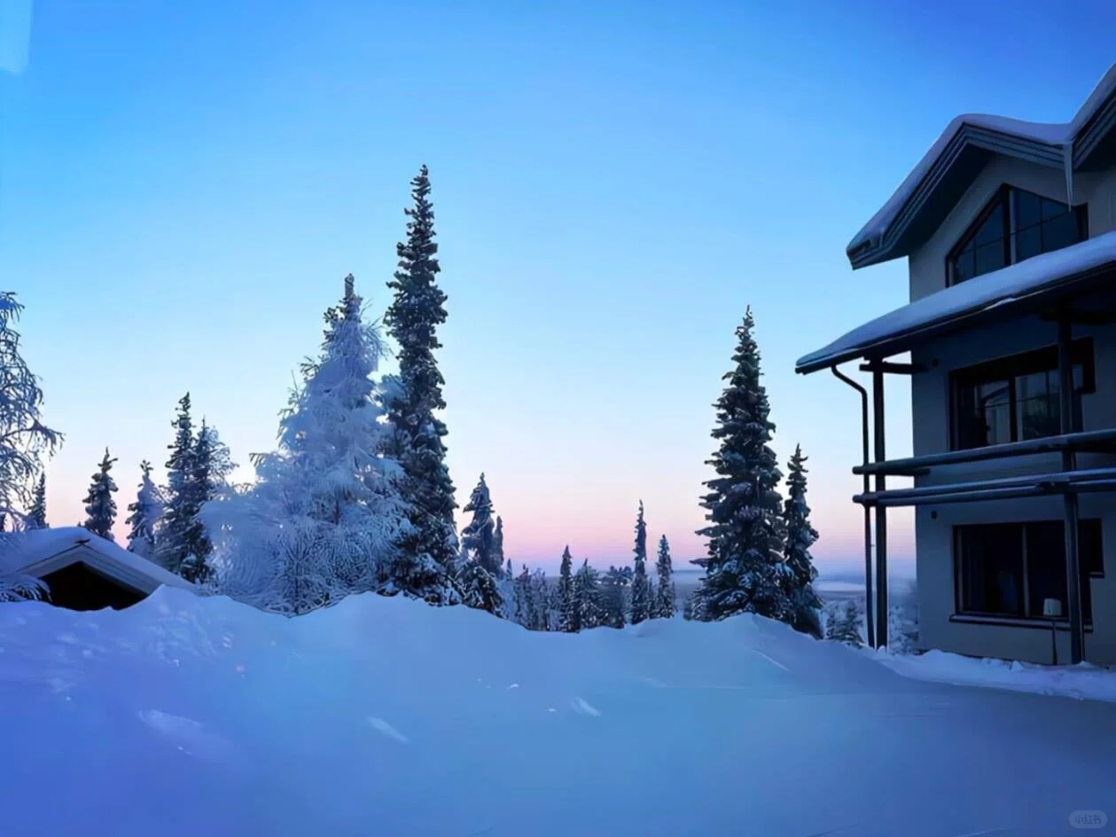 iPad壁纸｜冬雪❄️