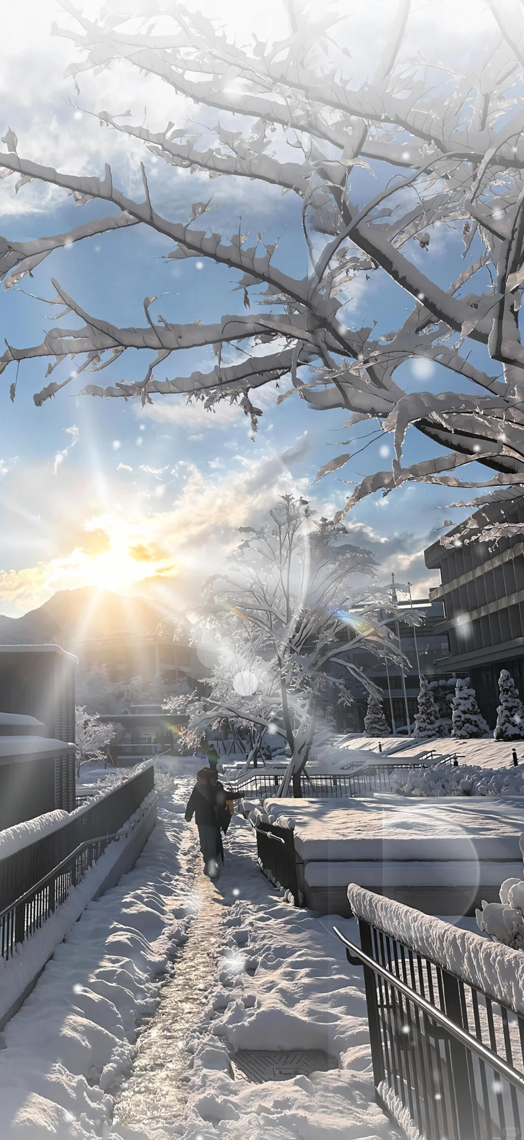 冬日雪景❄️壁纸