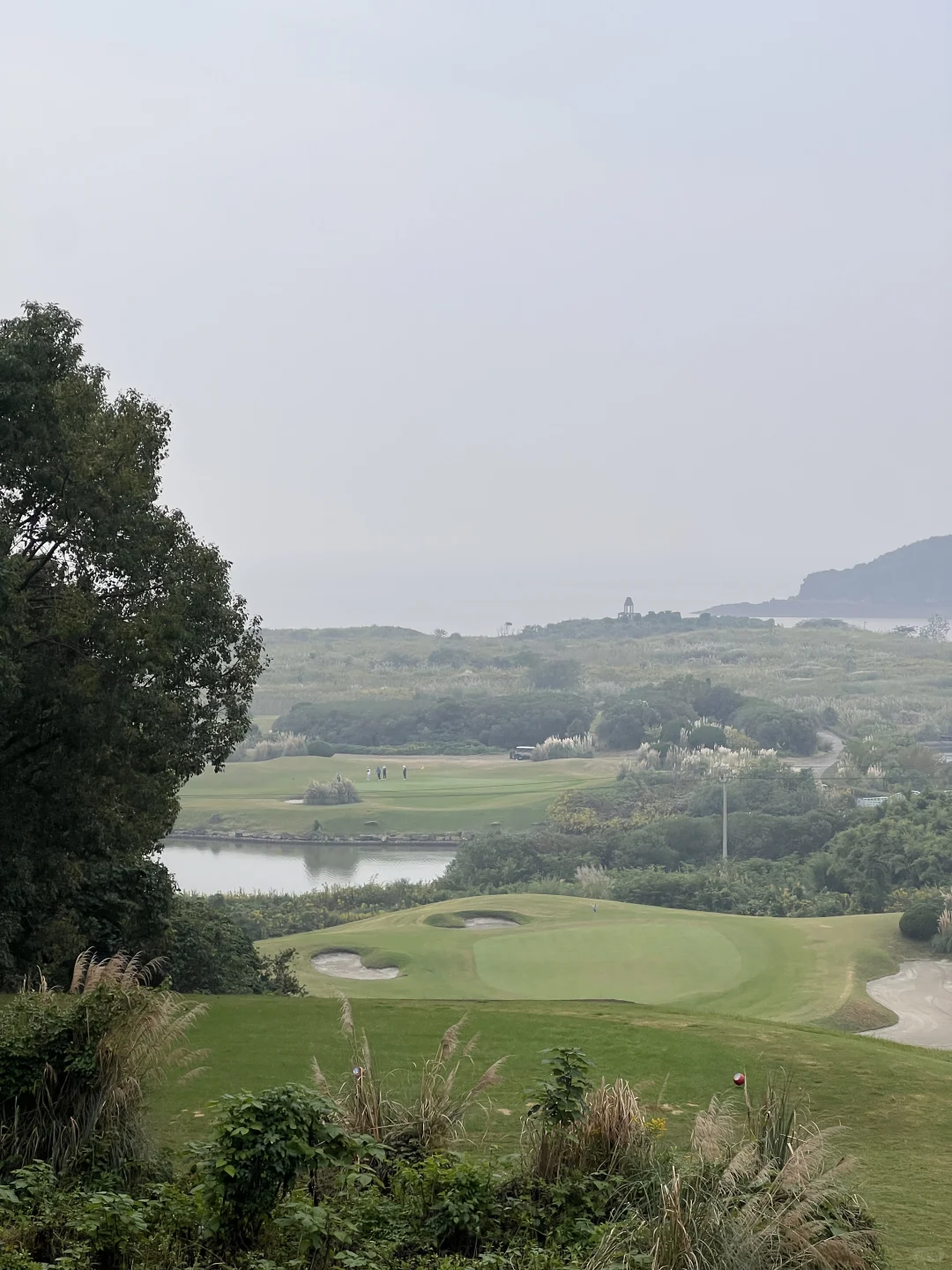 关于高尔夫，我拍了拍你～