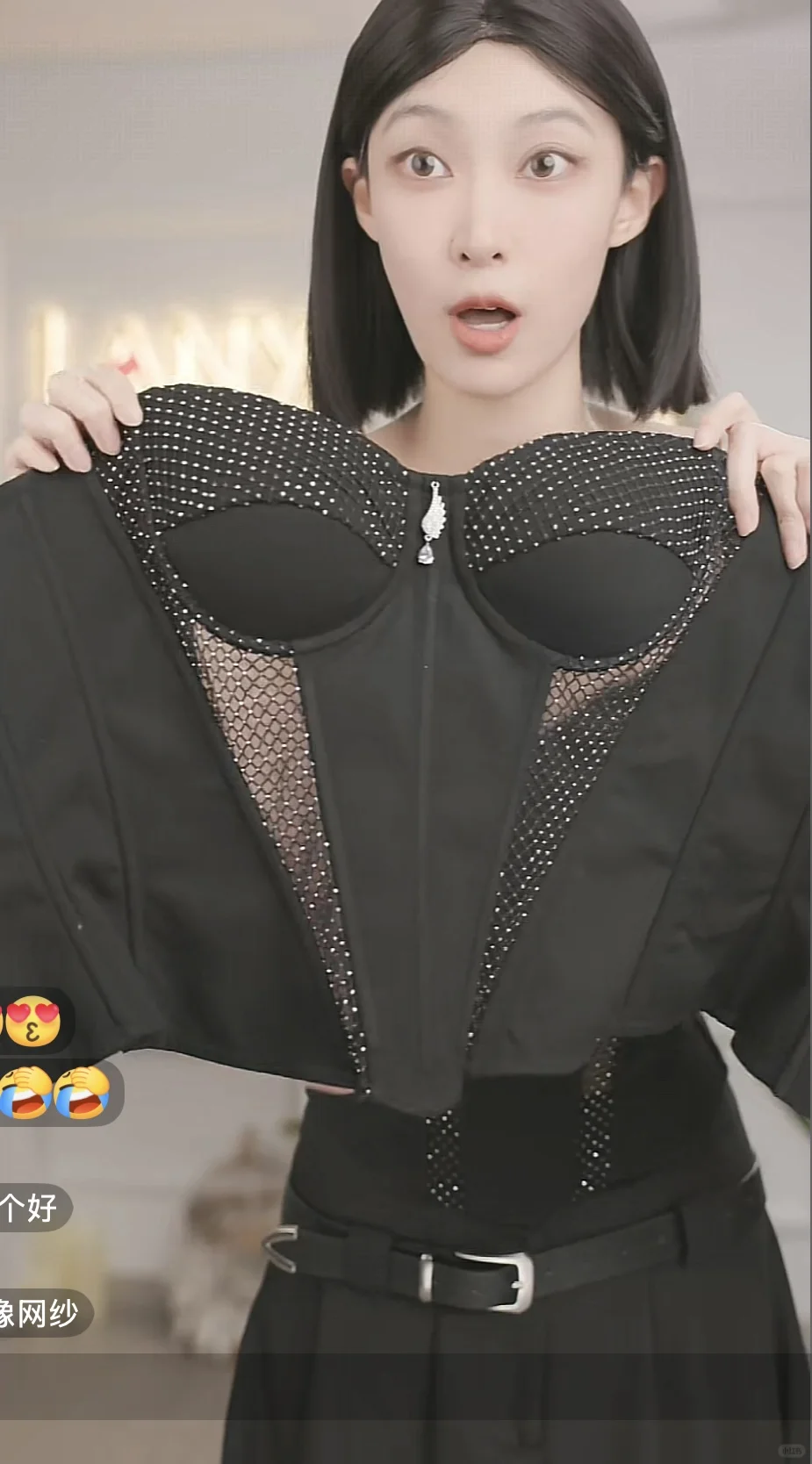 lanyi双十一彩蛋