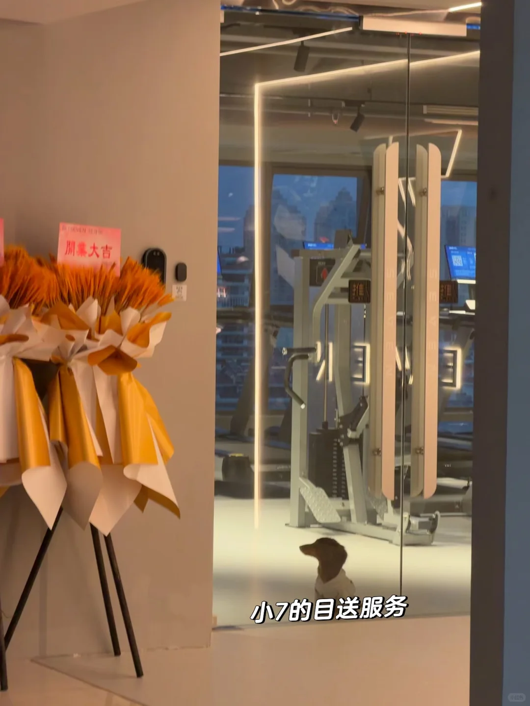 赣州全女健身房7seven 体验记录📝（下）