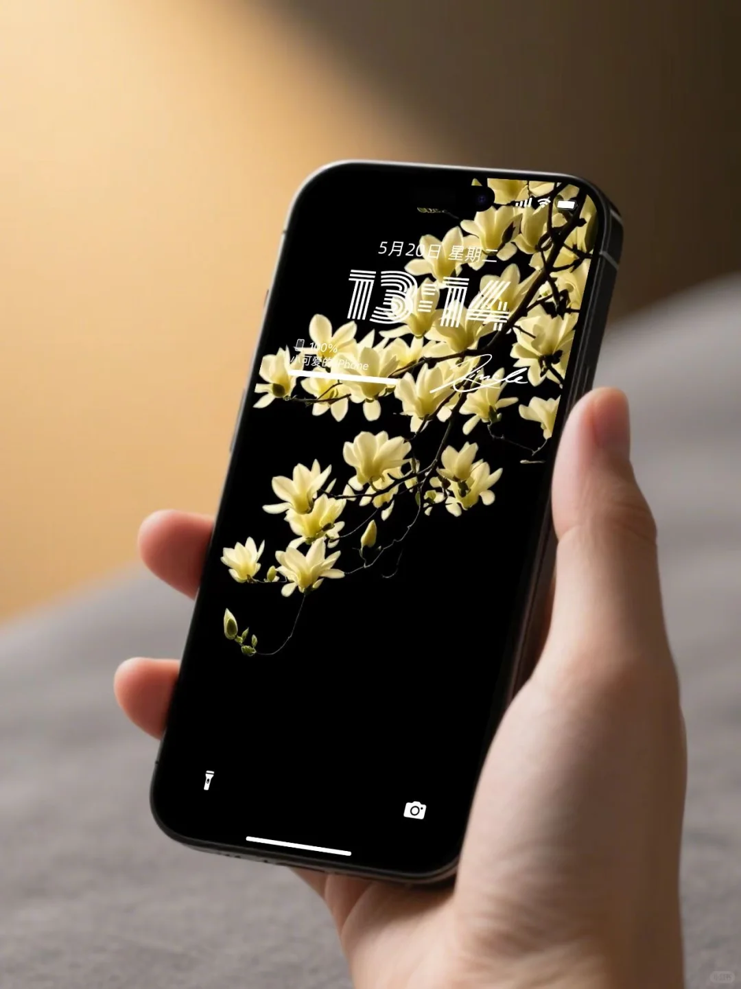 简约高级感｜玉兰花壁纸、氛围感壁纸