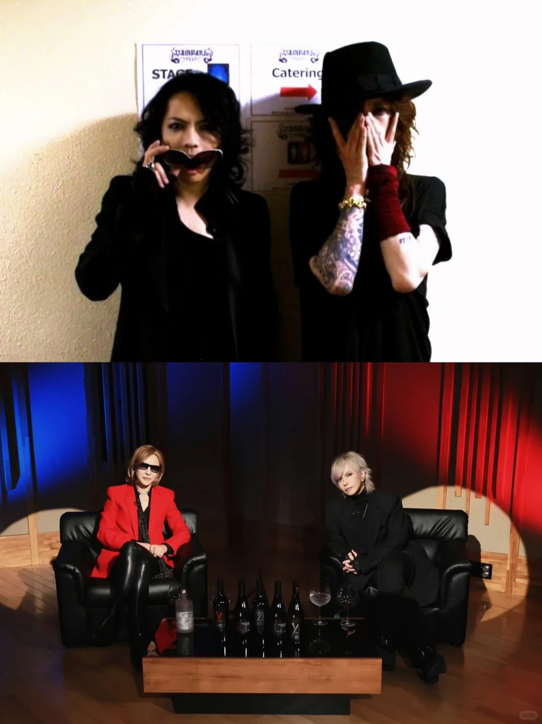 撒娇是小猫最好的嫁妆 ⁺ฅ😽ฅ⁺