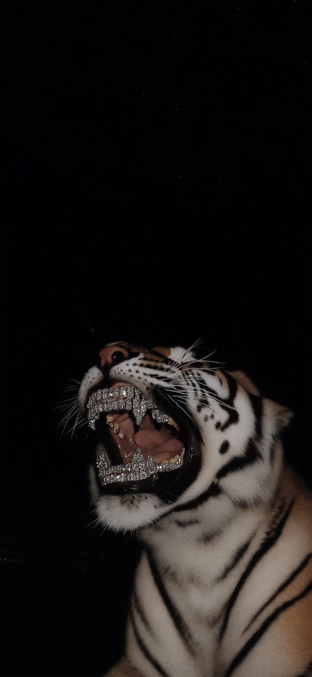 被你发现了宝藏壁纸