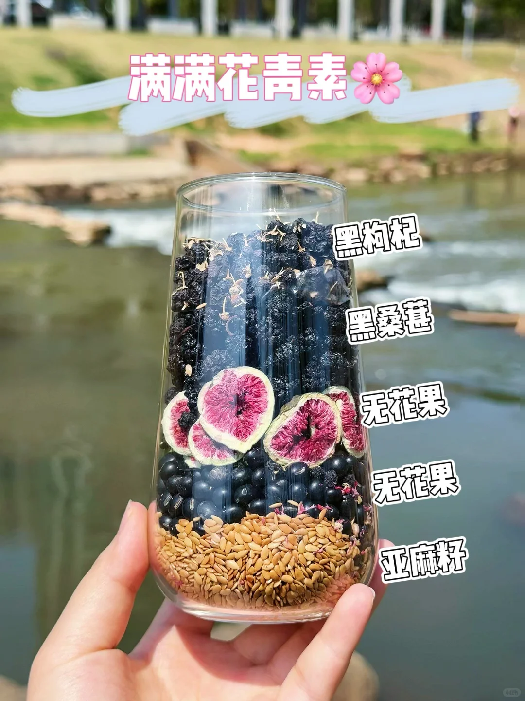 替姐妹👭试过了！天然植物种子循环🔄茶