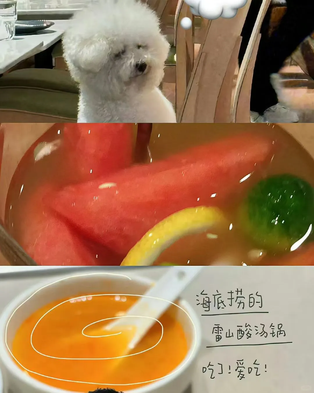 壁纸、生活氛围壁纸