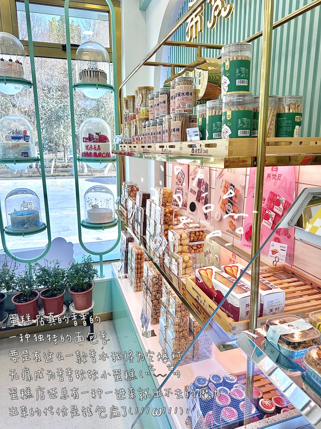 女大学生无需感到愧疚or内耗的那些事儿