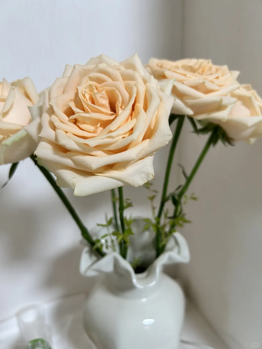 啊啊啊啊啊啊怎么可以这么美！