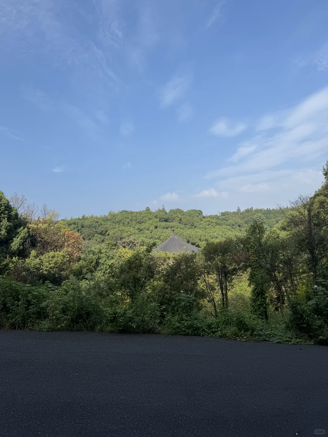 Got inspired from the nature 受到大自然