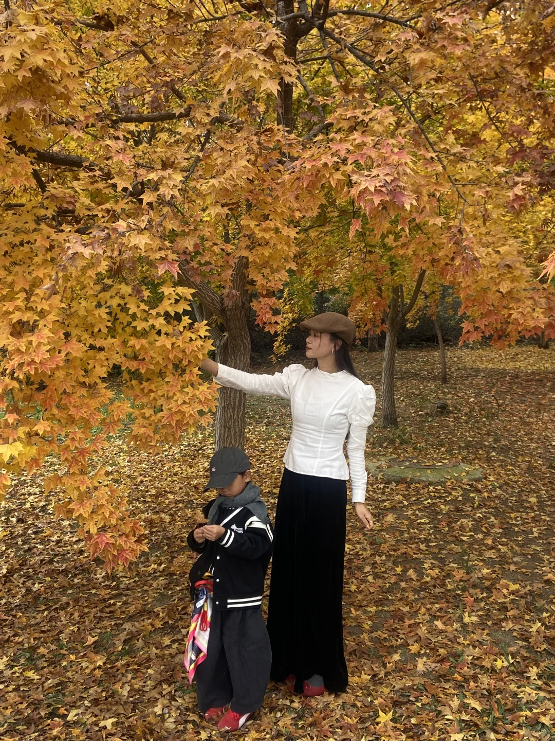 11.8实况！青岛最适合拍人像的枫叶🍁！