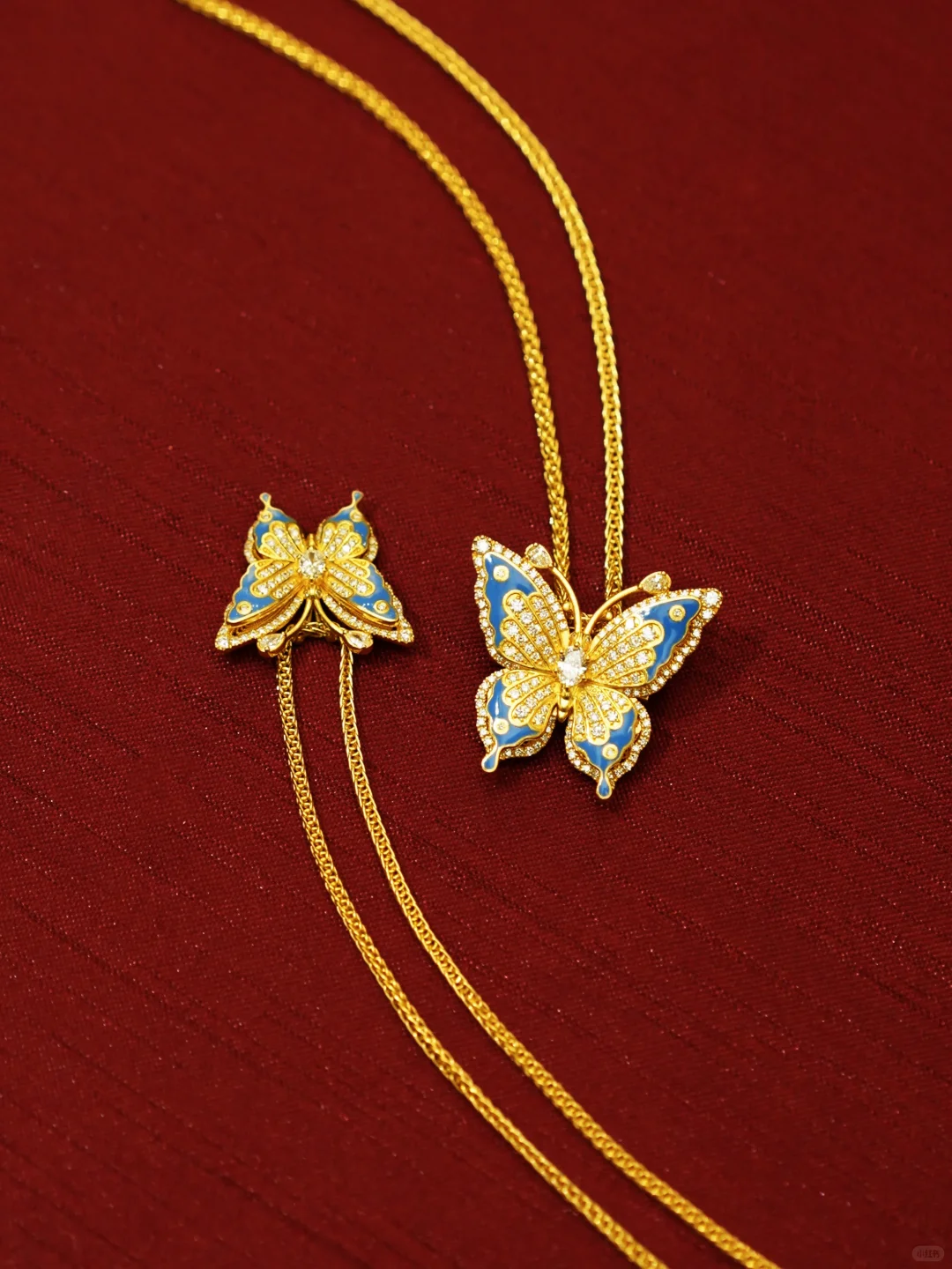 “光明女神”闪蝶-翩然而至的金色梦境✨