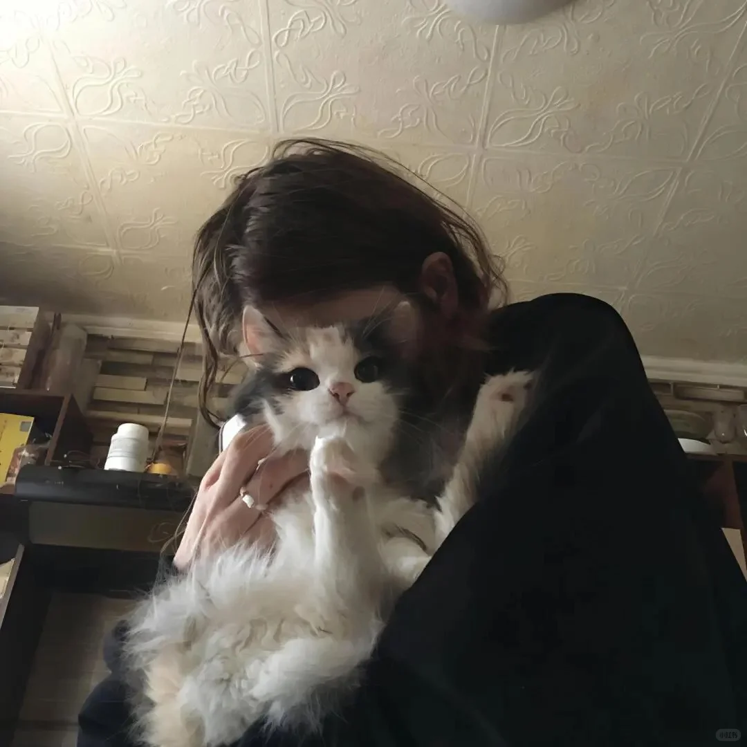 美女长得太美，就适合拿来当头像哈