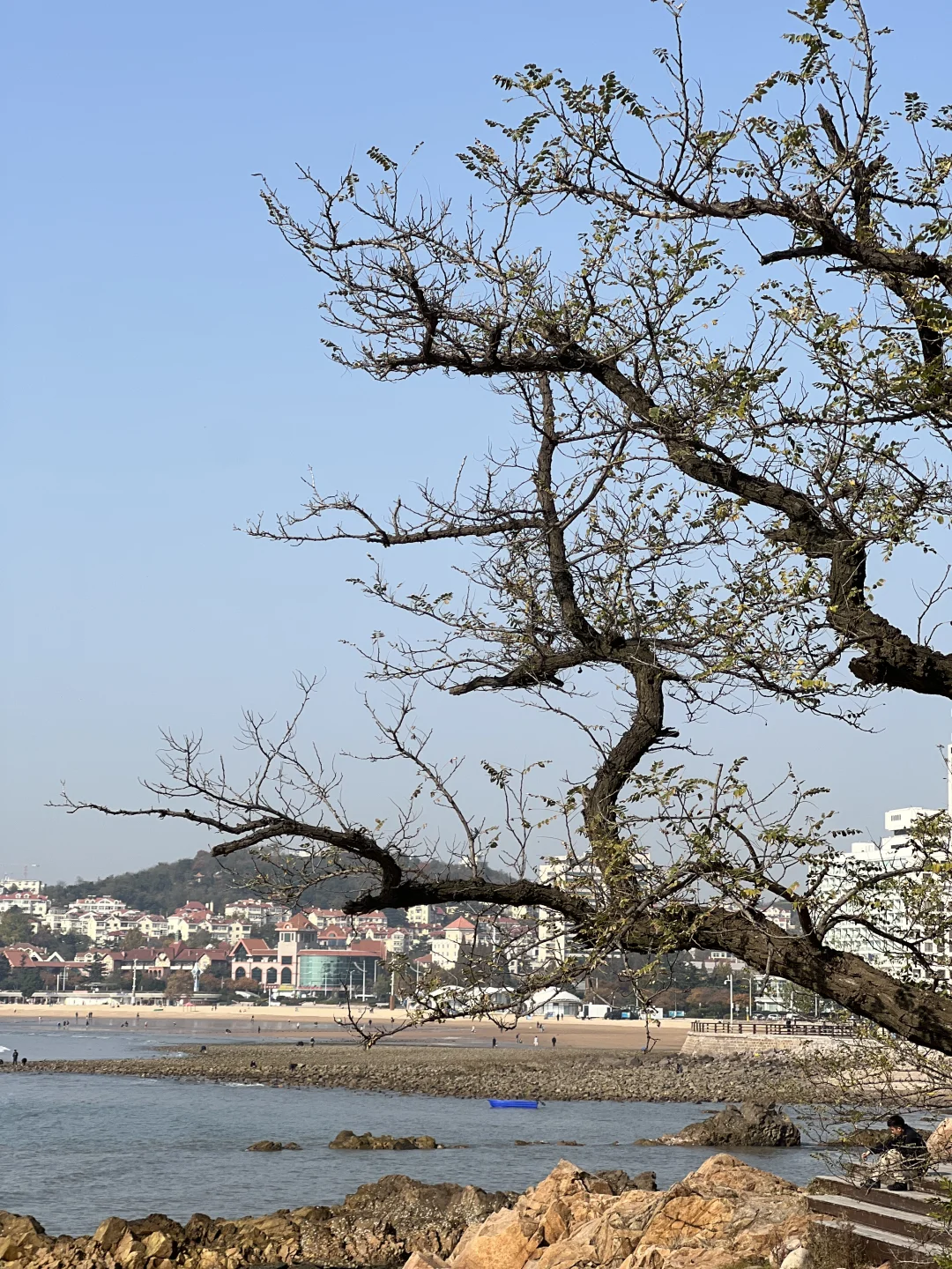 秋天真是很迷人的季节🍃