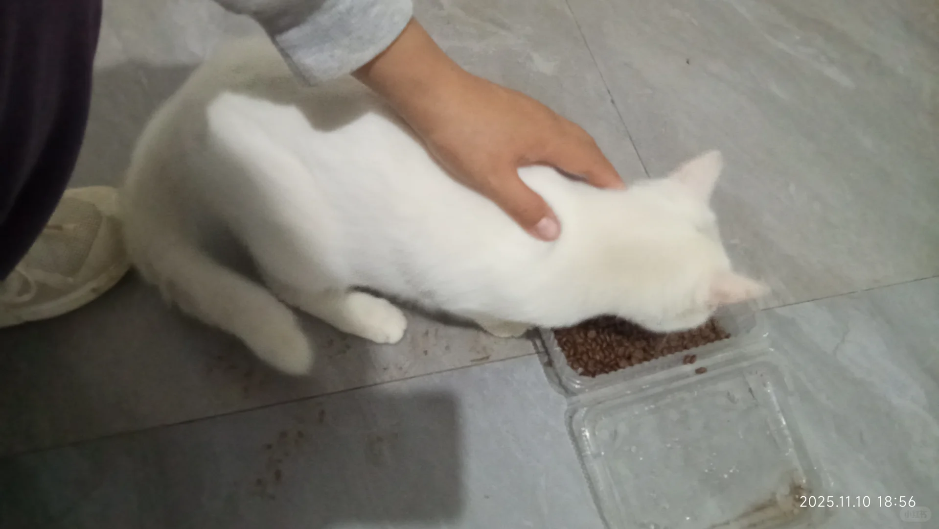 我们都是天使小女孩