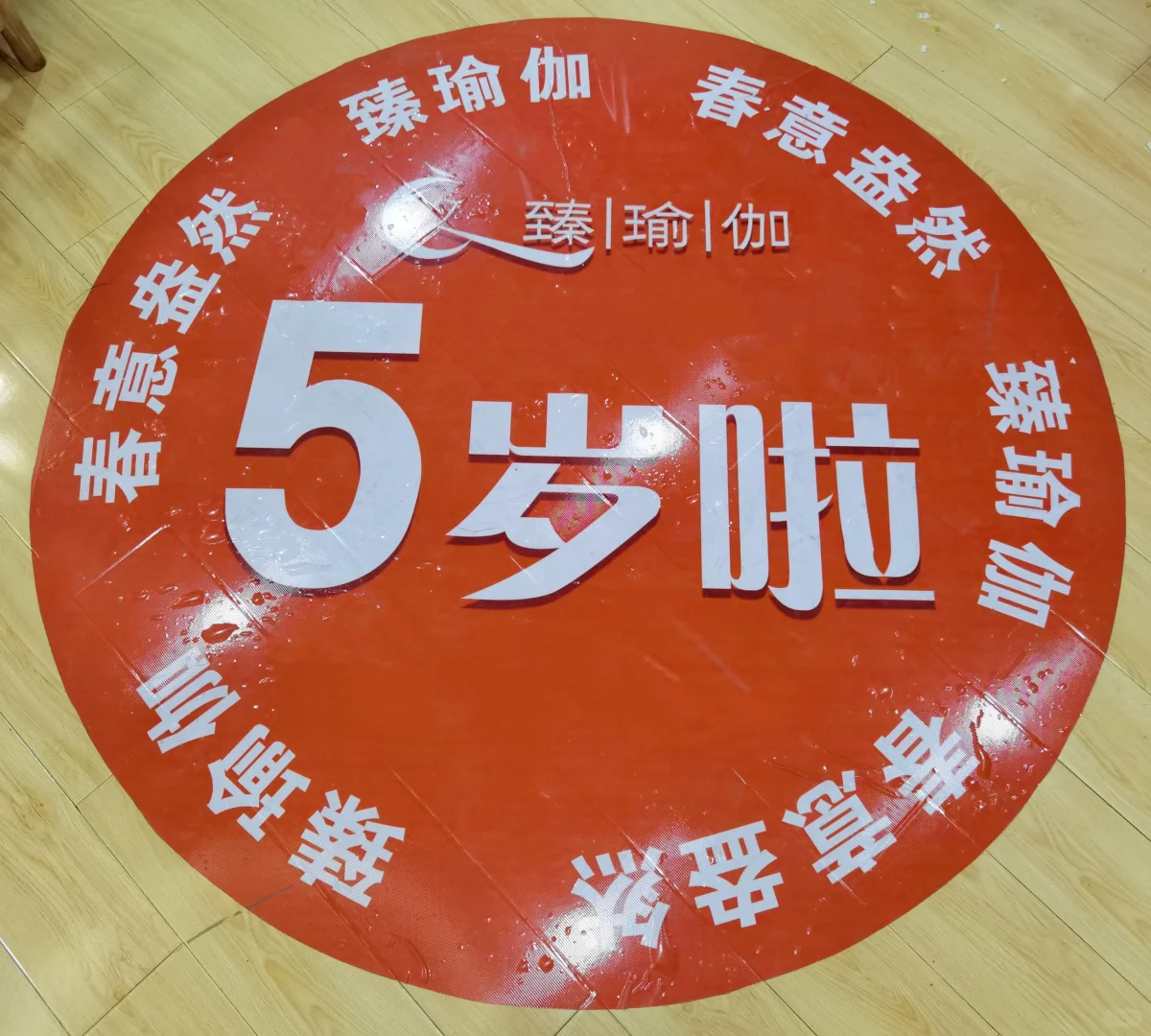 柔韧且有力量的瑜伽女孩儿们❤️