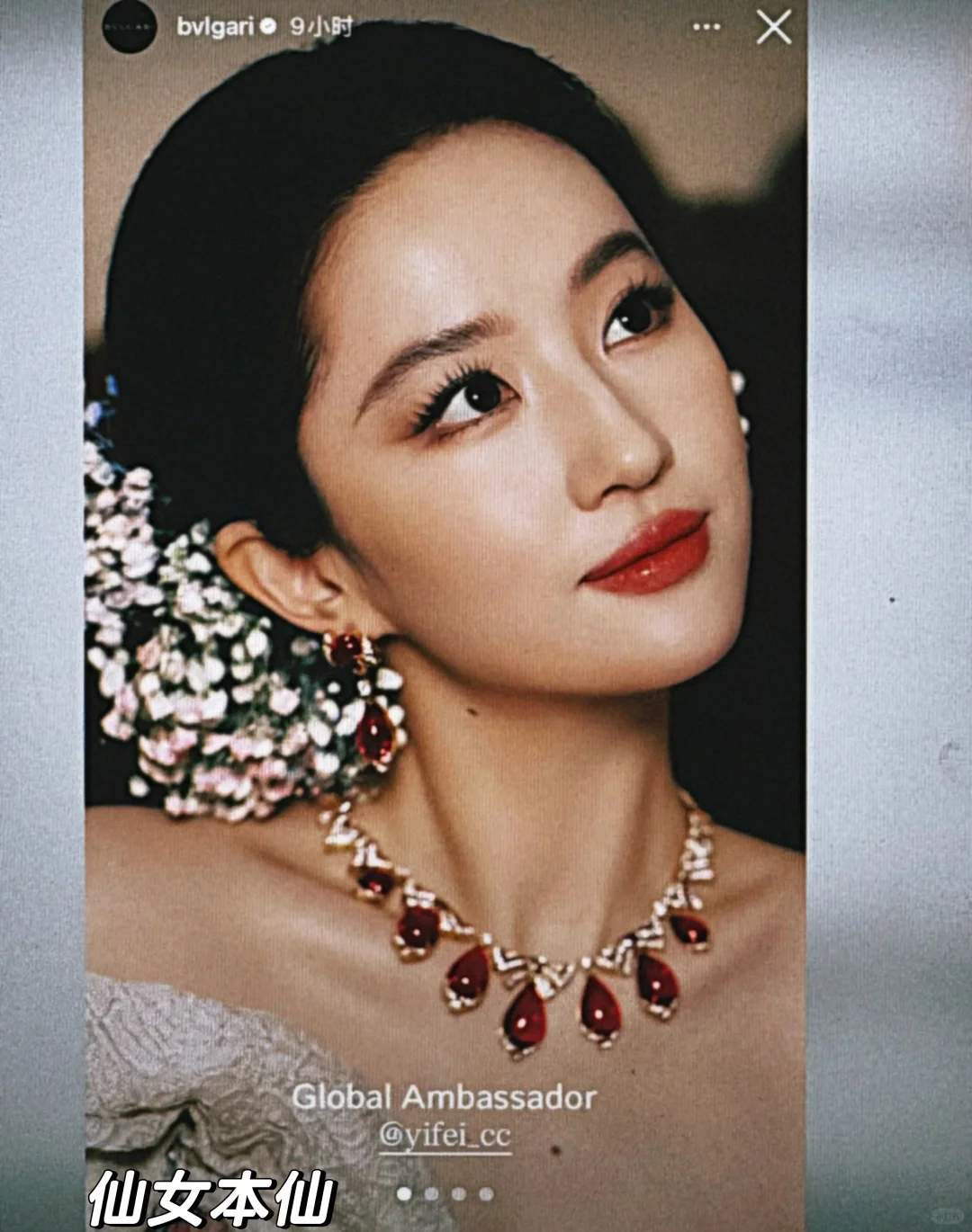 Plog新人博主｜ 🔁刘亦菲好美😍