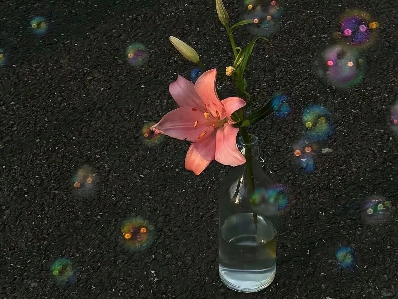 一组氛围感iPad/横屏/电脑壁纸 | 🍀 💓 🕌