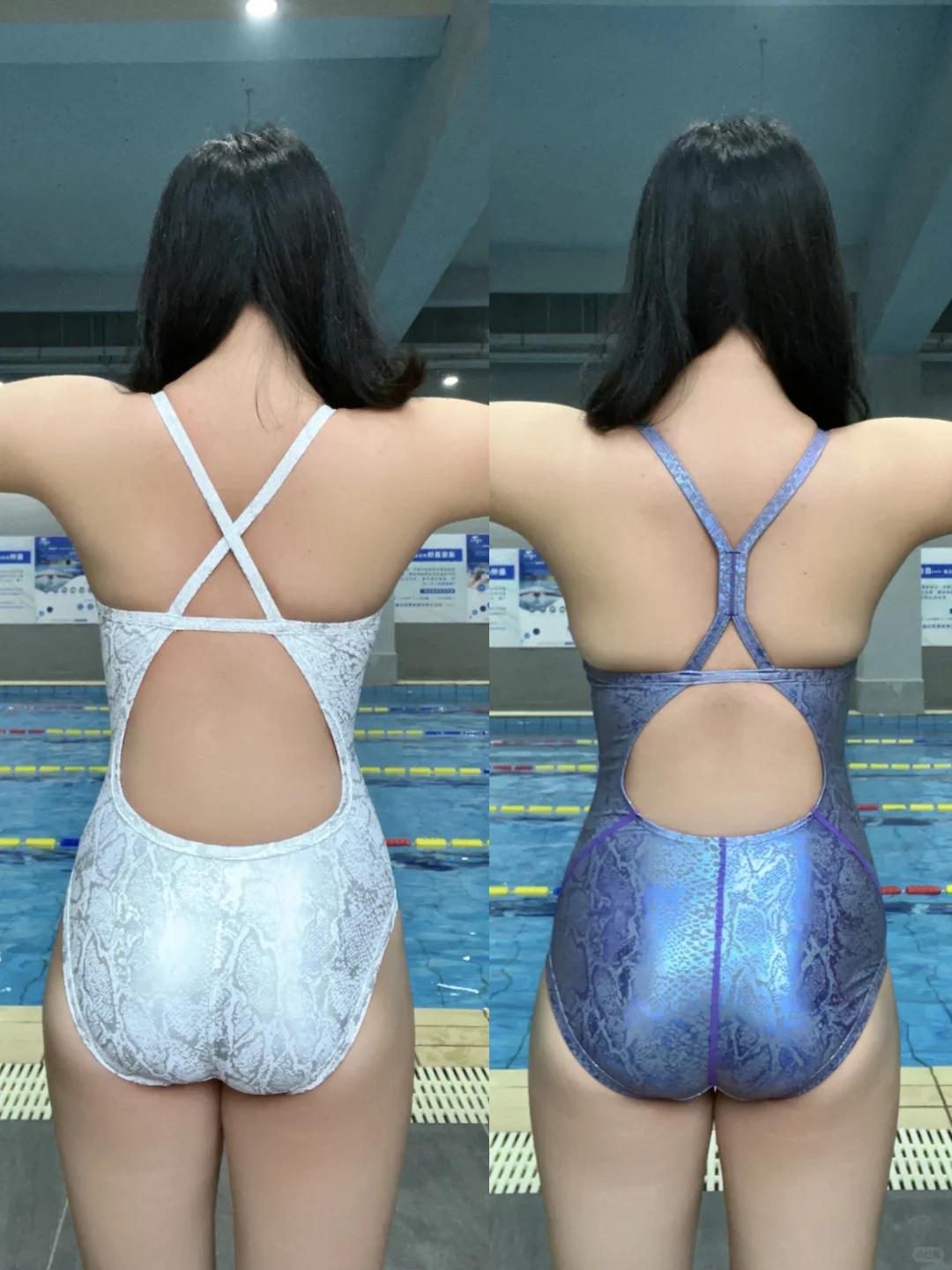 紫蟒VS白蟒，不纠结二选一！