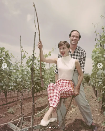 跟ins学｜复古赫本🌈穿搭分享✨