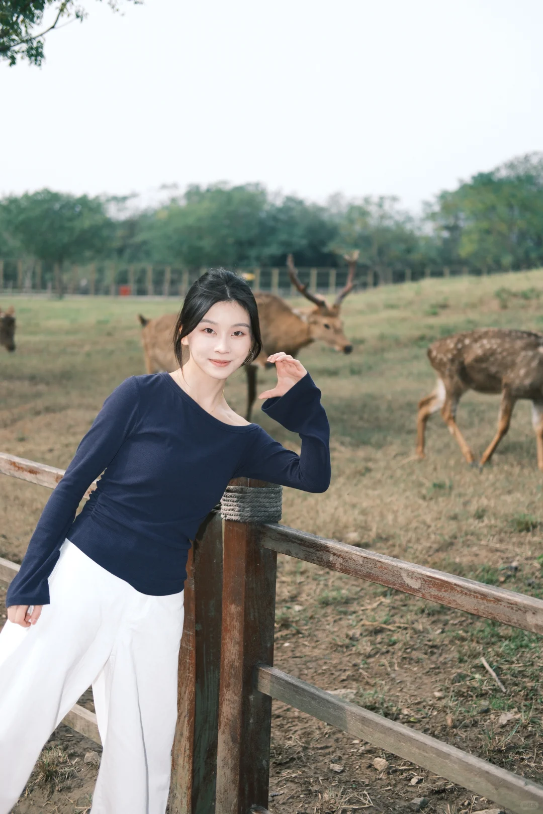 「良渚鹿苑｜用富士XT5拍出了秋日美照🍂」