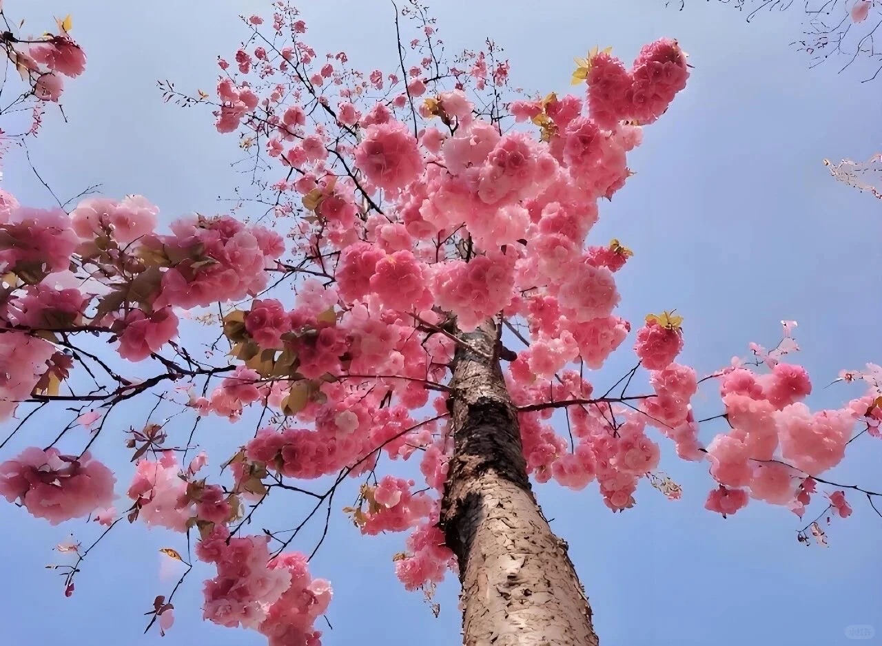 ios26 ipad裸眼3d壁纸