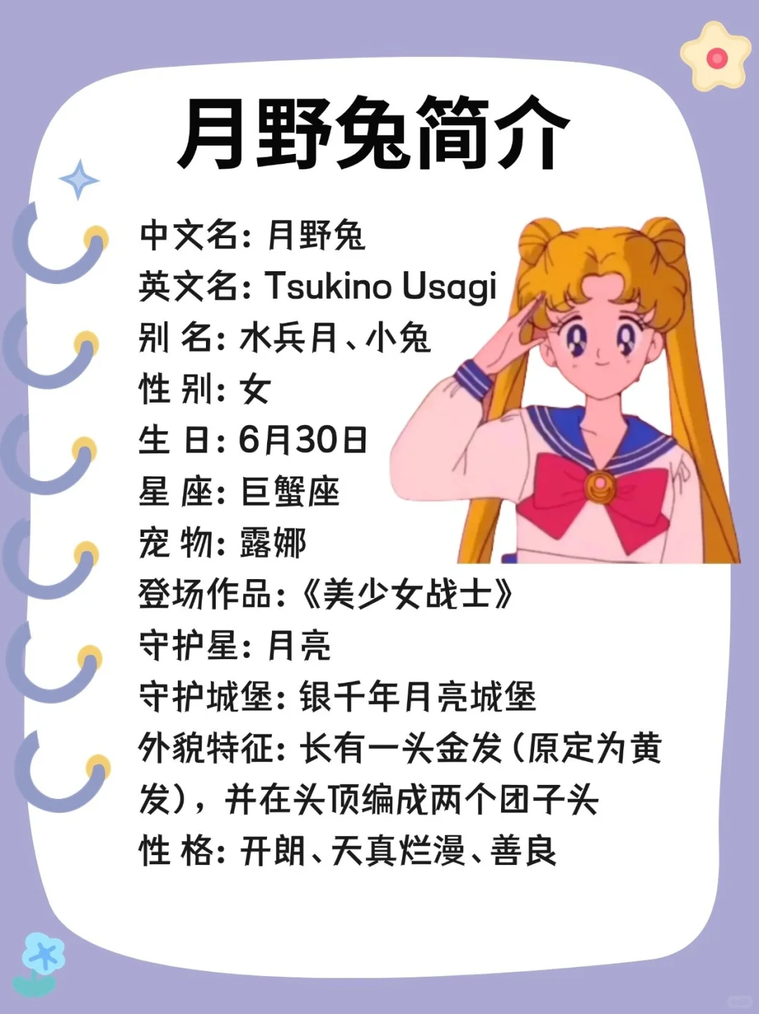 每天认识一个IP－月野兔