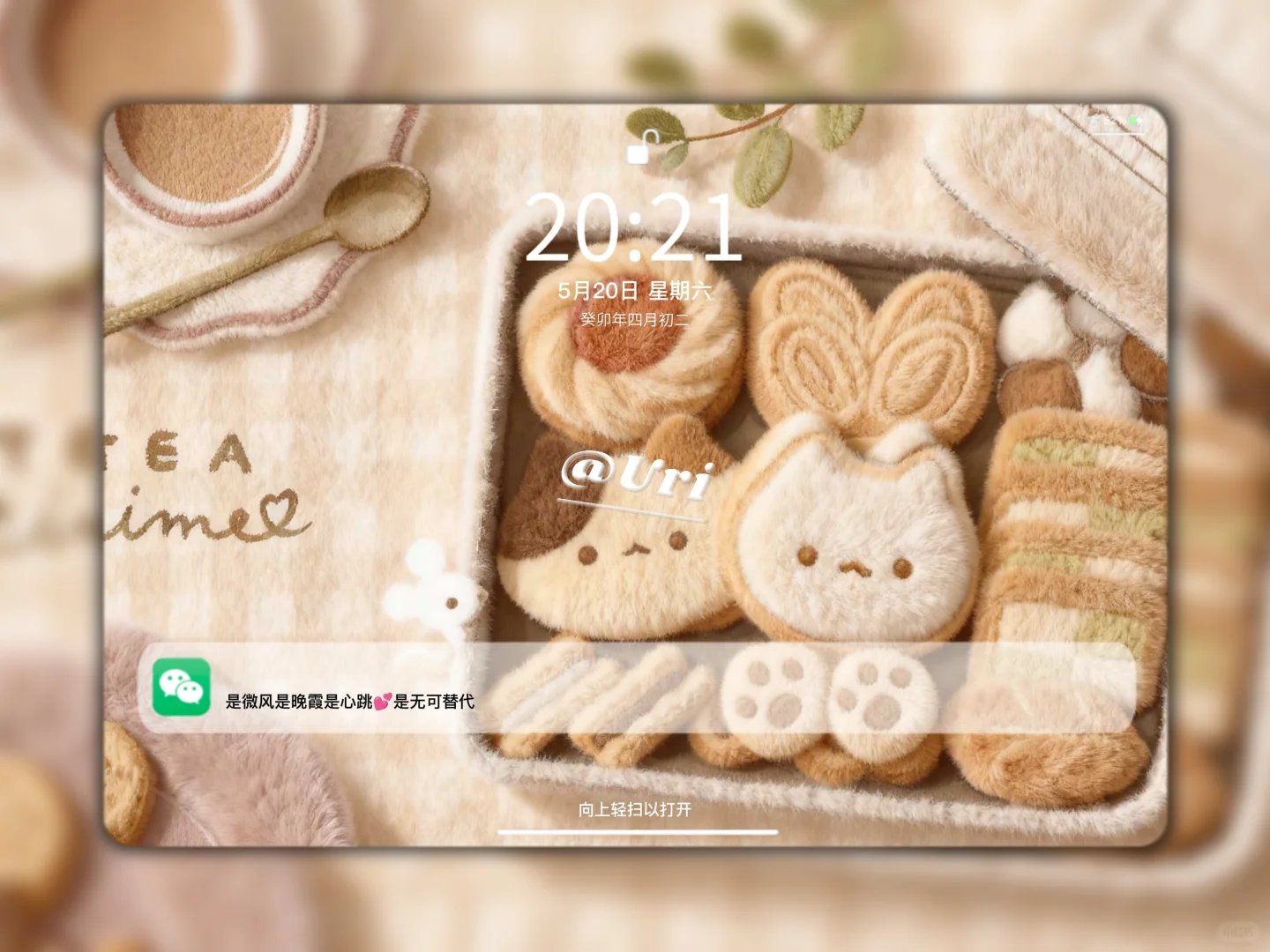 Share | 𝒊𝒑𝒂𝒅壁纸 毛茸茸质感