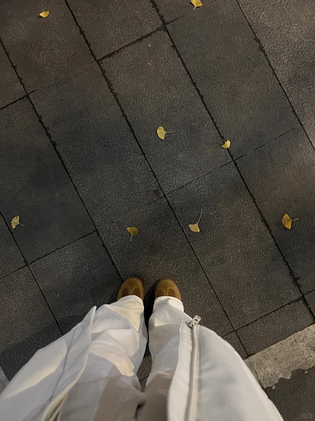 没错‼️我们游泳女