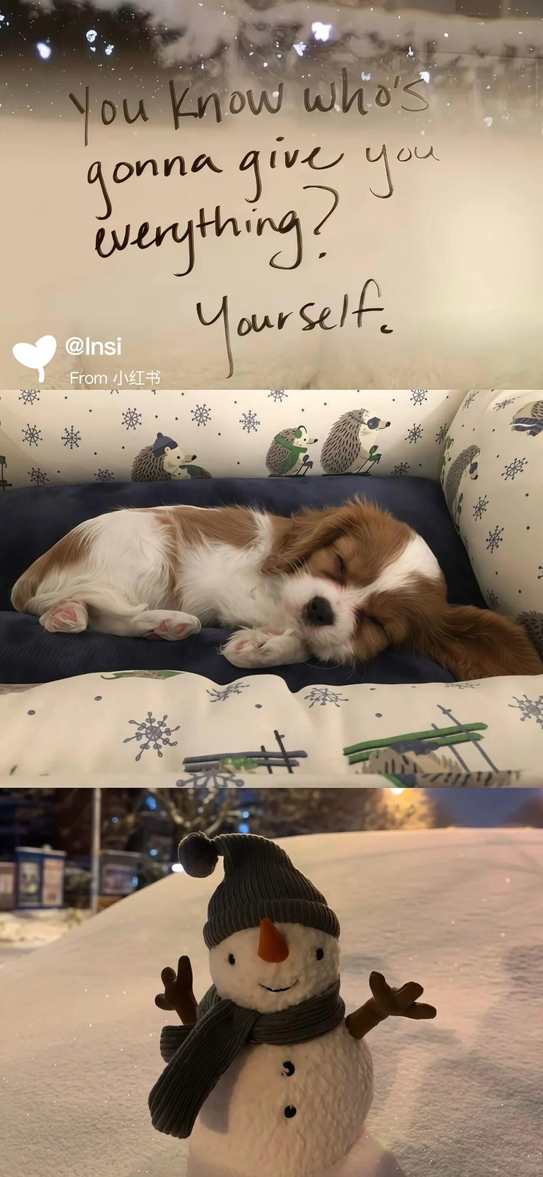 每日壁纸｜❄️❄️❄️ 祝大家11月顺利。