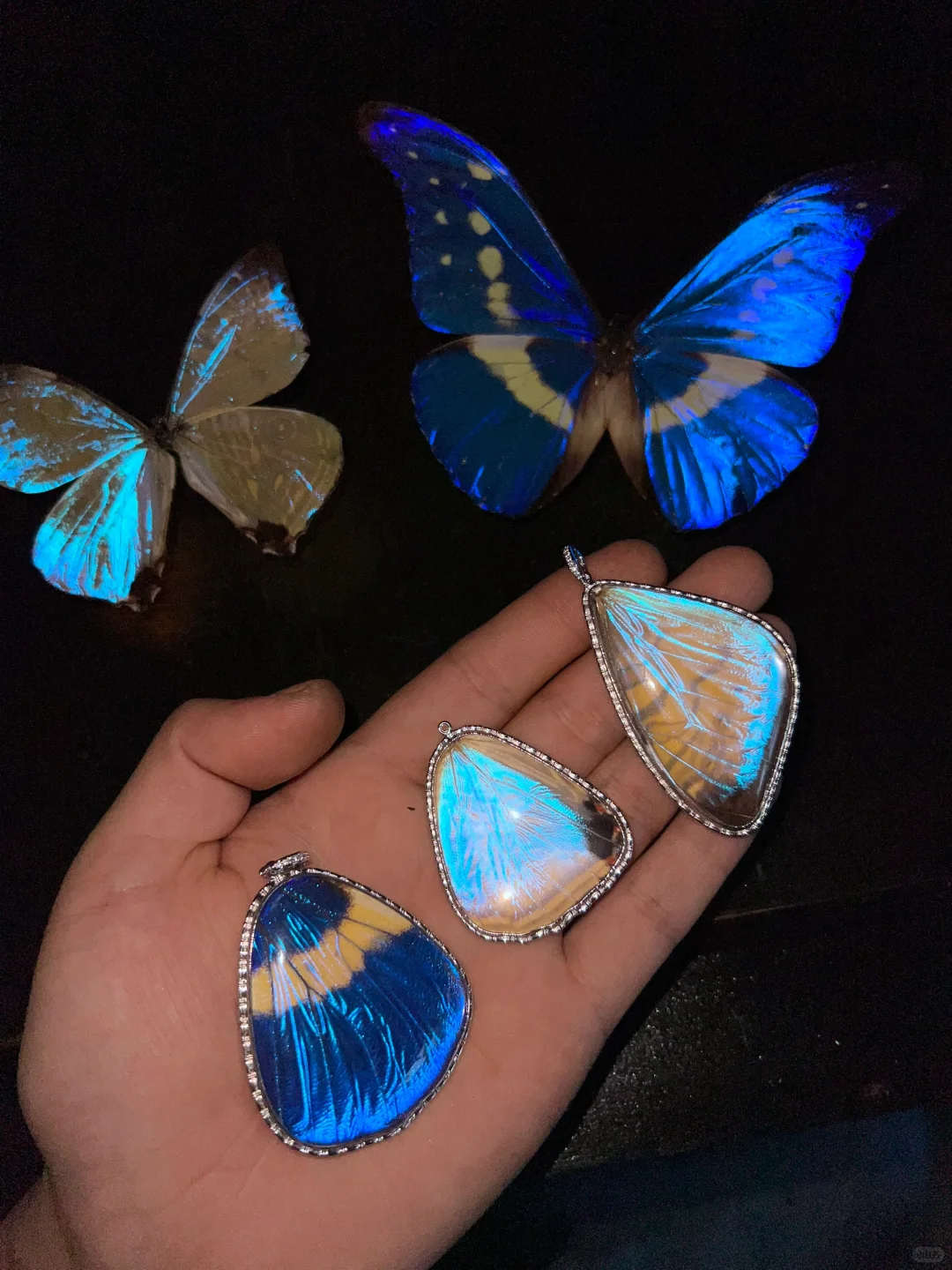 玩物丧志集上的新款｜ 闪蝶吊坠！