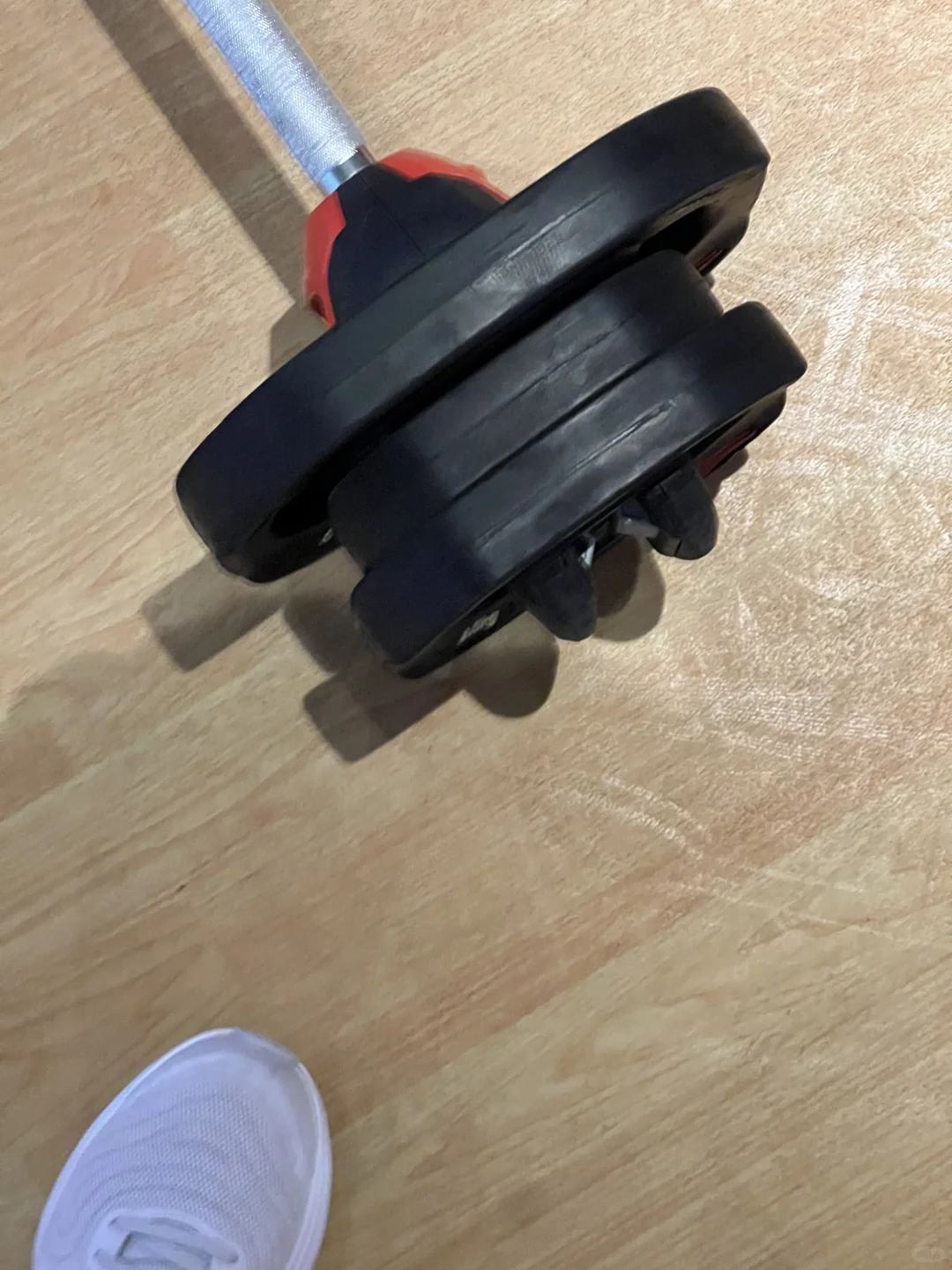 170cm70kg银行🐕｜上班拿铁下班撸铁🐷🐷