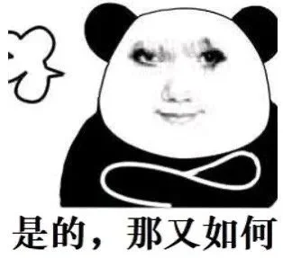 龙龙上新｜快来进货嘻嘻