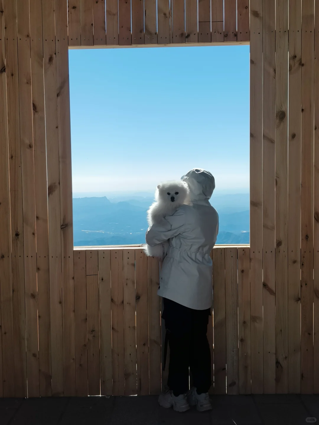 小博美征服白石山