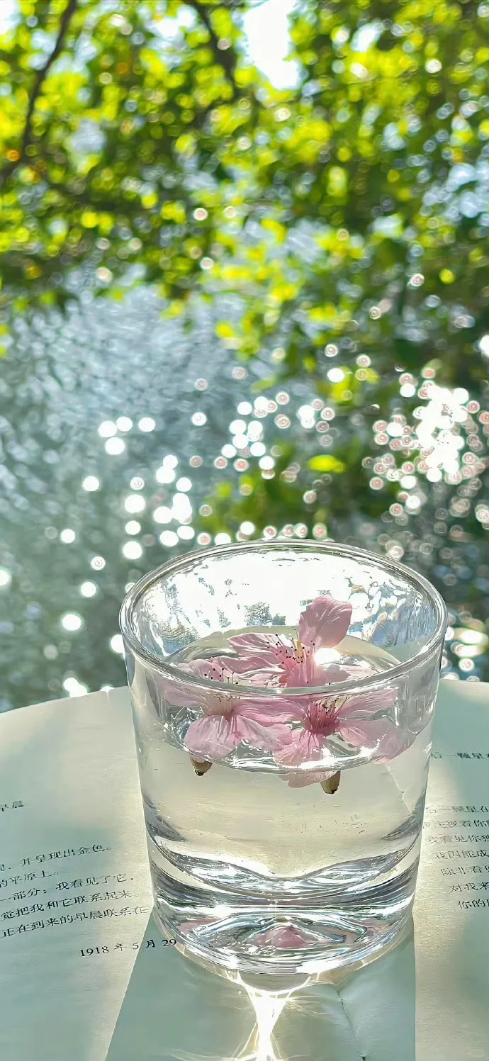 好运壁纸·每日通胜丨水木清华，碌柚叶祛霉