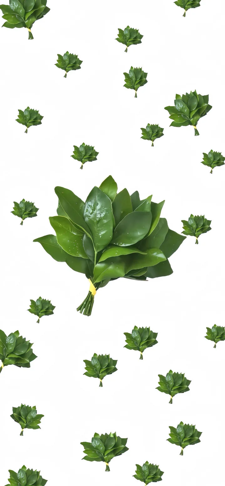 好运壁纸·每日通胜丨水木清华，碌柚叶祛霉